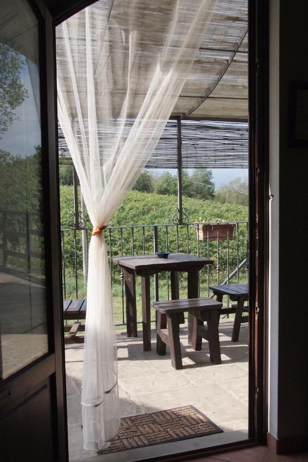 Il Pino Bioagricoltura Villa Terranuova Bracciolini Exterior foto