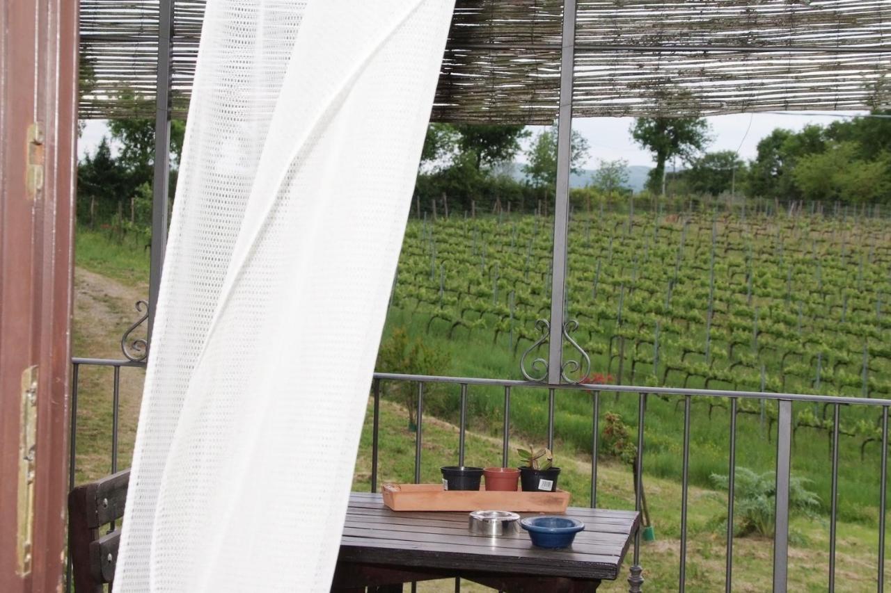 Il Pino Bioagricoltura Villa Terranuova Bracciolini Exterior foto