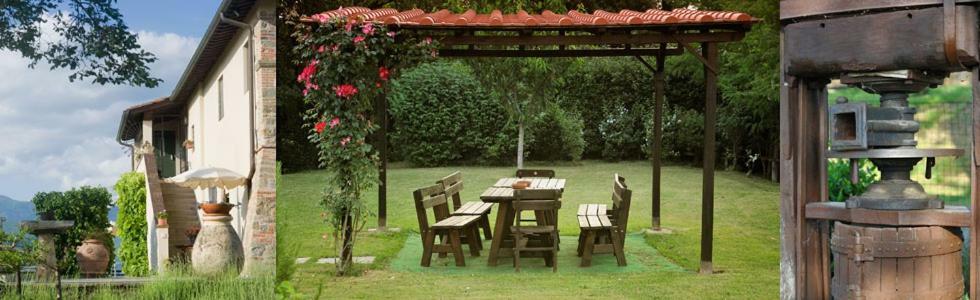 Il Pino Bioagricoltura Villa Terranuova Bracciolini Exterior foto